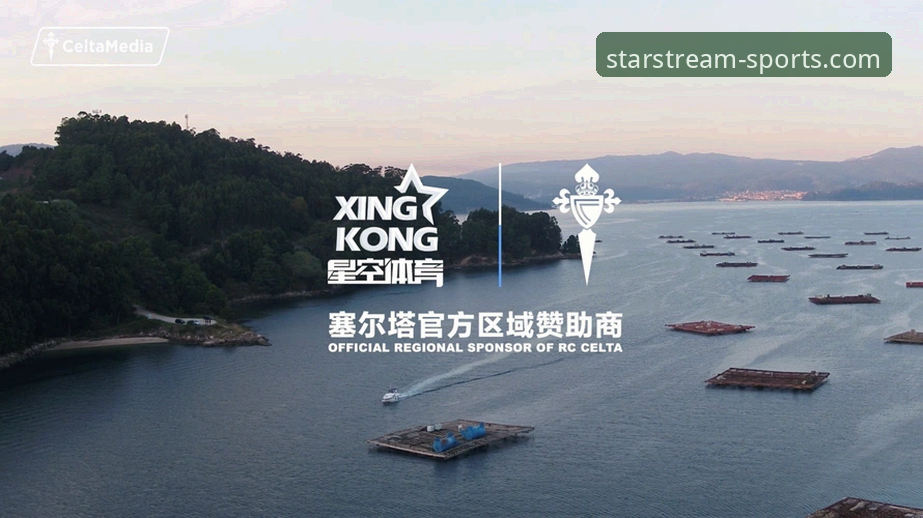 星空体育平台评测：5个关键维度对比分析